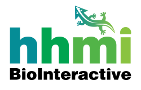 HHMI BioInteractive HHMI BioInteractive